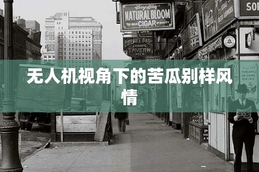 无人机视角下的苦瓜别样风情