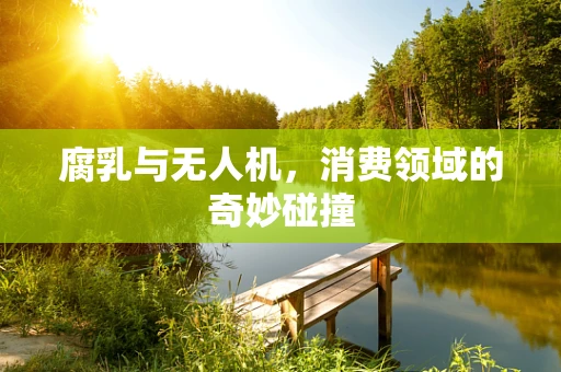 腐乳与无人机，消费领域的奇妙碰撞