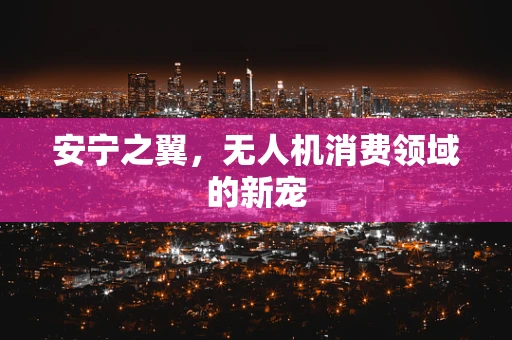 安宁之翼，无人机消费领域的新宠