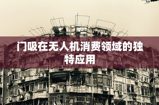 门吸在无人机消费领域的独特应用