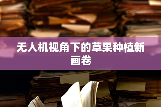 无人机视角下的草果种植新画卷