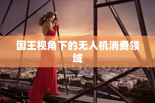国王视角下的无人机消费领域