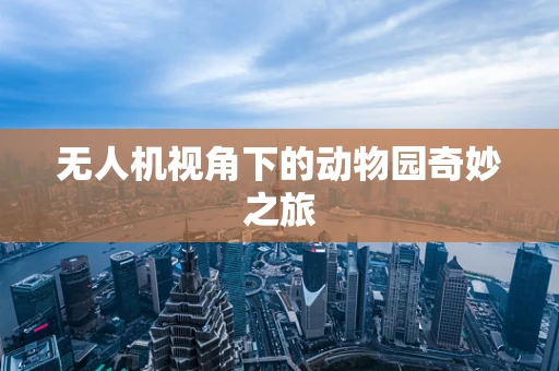 无人机视角下的动物园奇妙之旅