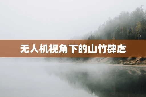 无人机视角下的山竹肆虐