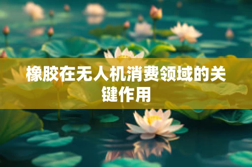 橡胶在无人机消费领域的关键作用