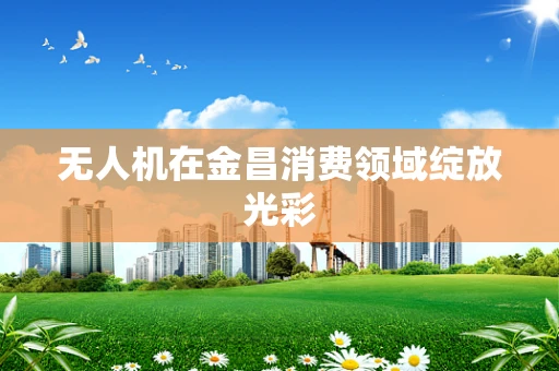 无人机在金昌消费领域绽放光彩