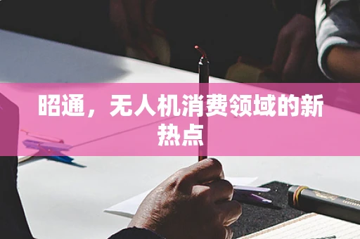 昭通，无人机消费领域的新热点