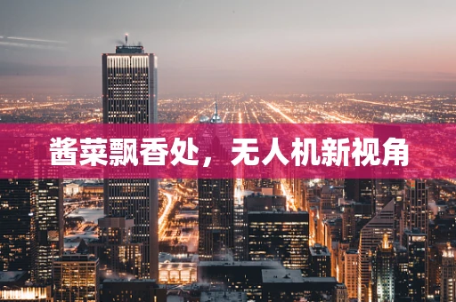 酱菜飘香处，无人机新视角