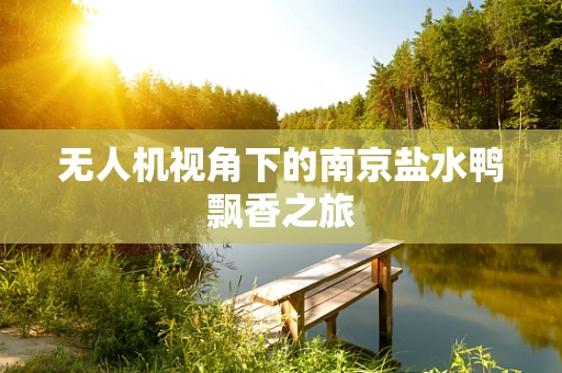 无人机视角下的南京盐水鸭飘香之旅