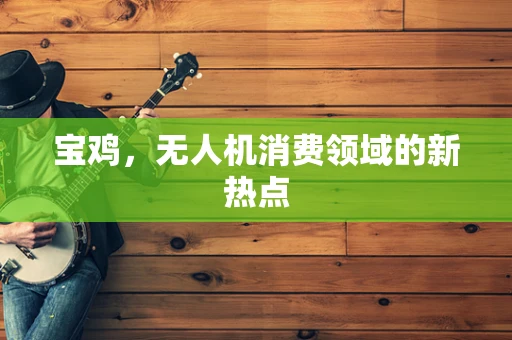 宝鸡，无人机消费领域的新热点