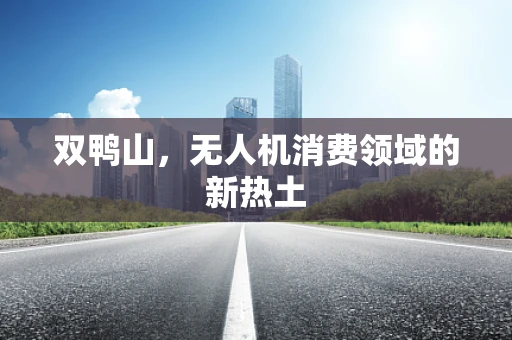 双鸭山，无人机消费领域的新热土