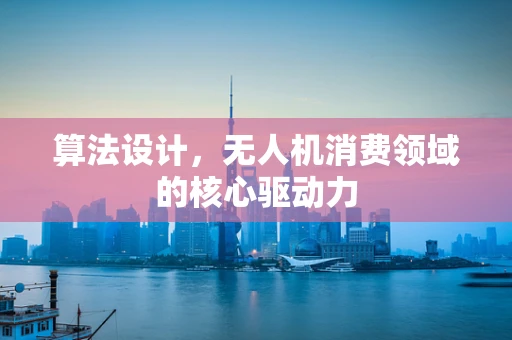 算法设计，无人机消费领域的核心驱动力