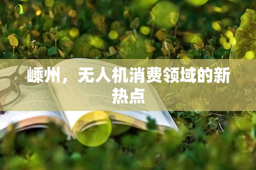 嵊州，无人机消费领域的新热点