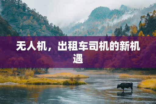 无人机，出租车司机的新机遇