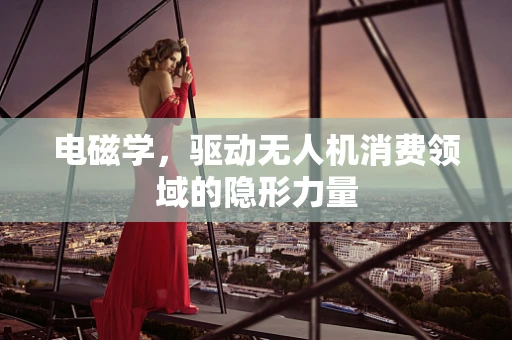 电磁学，驱动无人机消费领域的隐形力量