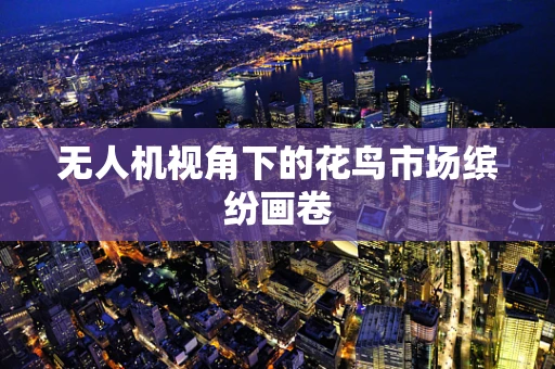 无人机视角下的花鸟市场缤纷画卷