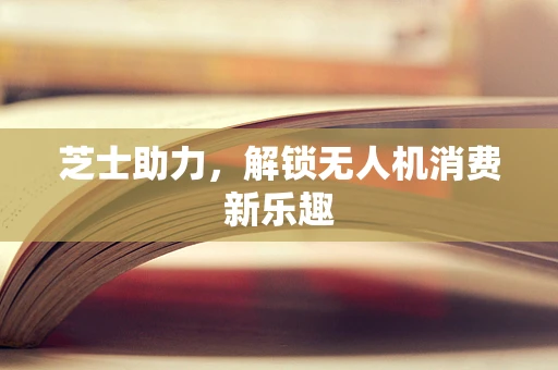 芝士助力，解锁无人机消费新乐趣