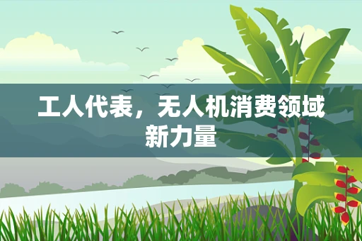 工人代表，无人机消费领域新力量