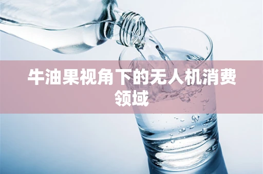 牛油果视角下的无人机消费领域
