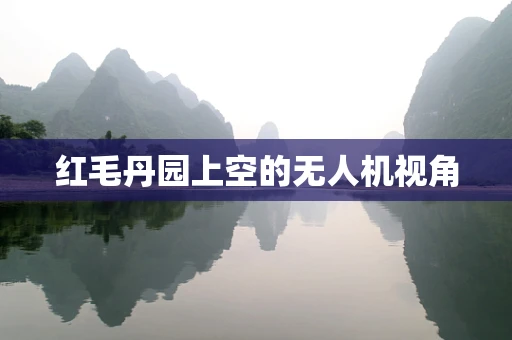 红毛丹园上空的无人机视角