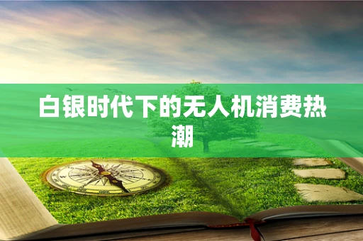 白银时代下的无人机消费热潮