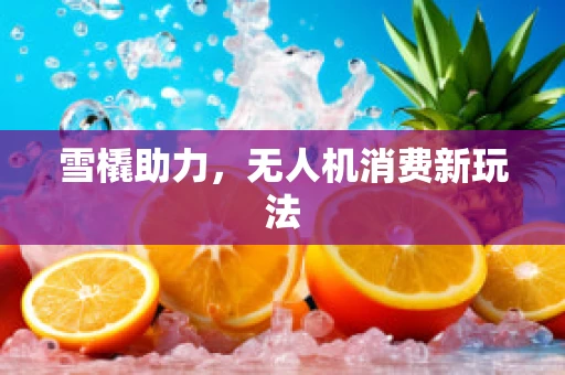 雪橇助力，无人机消费新玩法