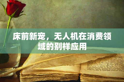 床前新宠，无人机在消费领域的别样应用