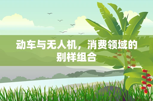 动车与无人机，消费领域的别样组合