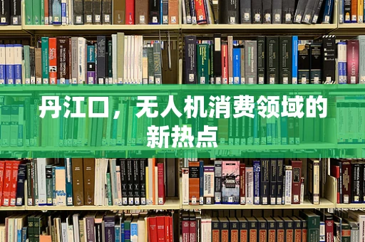 丹江口，无人机消费领域的新热点