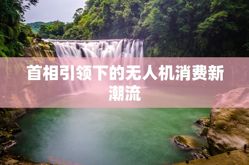 首相引领下的无人机消费新潮流
