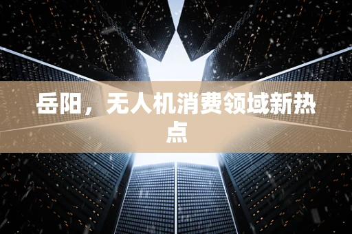 岳阳，无人机消费领域新热点
