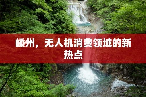 嵊州，无人机消费领域的新热点