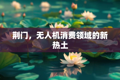 荆门，无人机消费领域的新热土