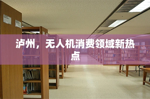 泸州，无人机消费领域新热点