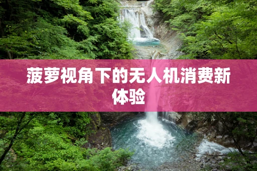 菠萝视角下的无人机消费新体验