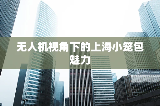 无人机视角下的上海小笼包魅力