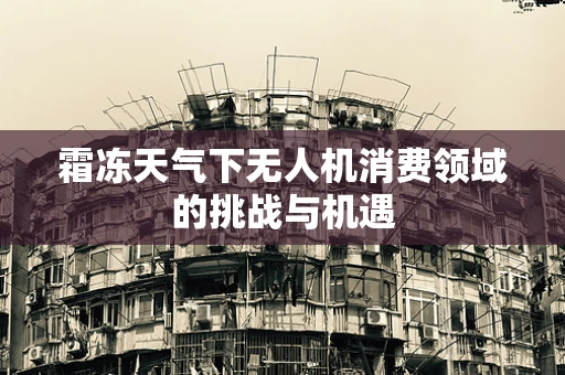 霜冻天气下无人机消费领域的挑战与机遇