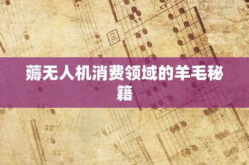 薅无人机消费领域的羊毛秘籍