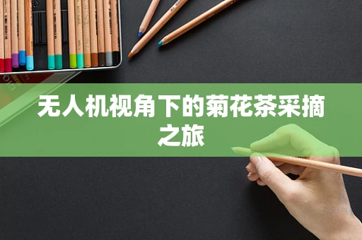 无人机视角下的菊花茶采摘之旅