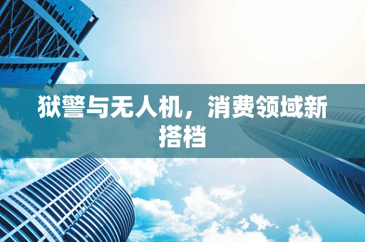 狱警与无人机，消费领域新搭档
