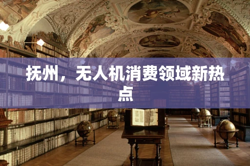 抚州，无人机消费领域新热点