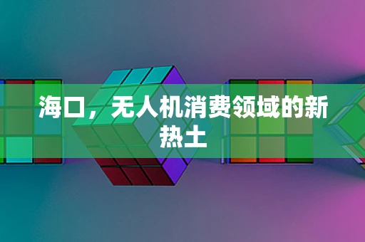 海口，无人机消费领域的新热土