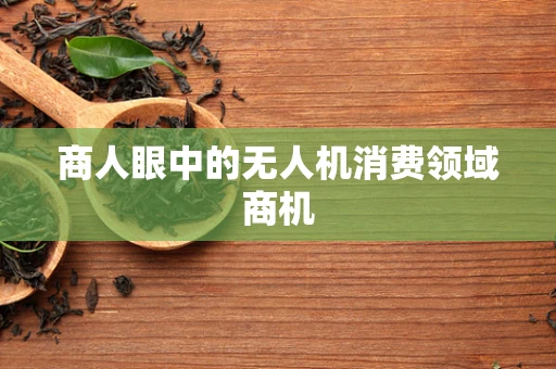 商人眼中的无人机消费领域商机