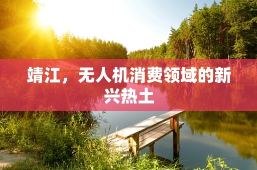 靖江，无人机消费领域的新兴热土