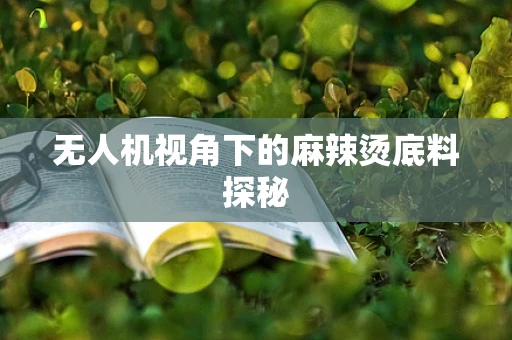 无人机视角下的麻辣烫底料探秘