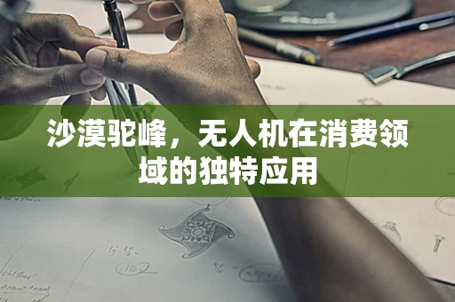 沙漠驼峰，无人机在消费领域的独特应用