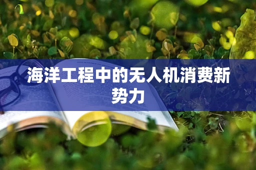海洋工程中的无人机消费新势力