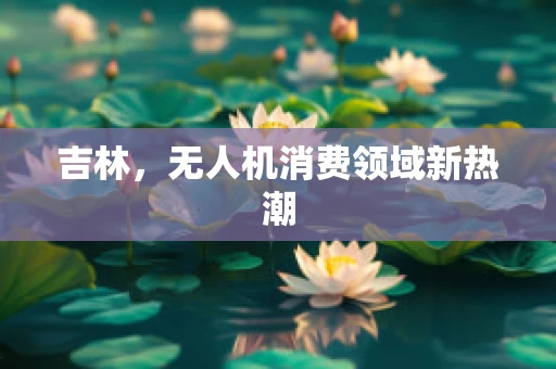 吉林，无人机消费领域新热潮