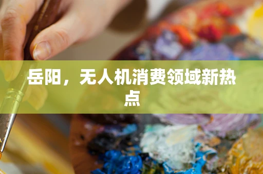 岳阳，无人机消费领域新热点