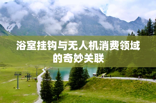 浴室挂钩与无人机消费领域的奇妙关联